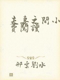 夫妻之间小说免费阅读