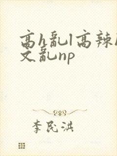 高h乱l高辣h文乱np