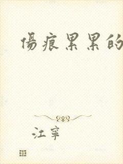 伤痕累累的勋章