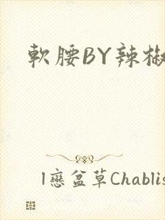 软腰BY辣椒椒