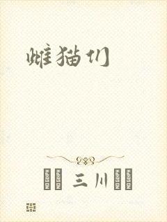 雌猫们
