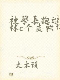 被学长抱进小树林c个爽软件