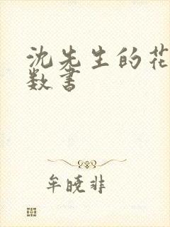 沈先生的花式调数书