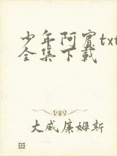 少年阿宾txt全集下载