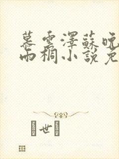 慕云泽苏晚晴夏雨桐小说免费阅读