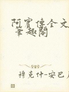 阿宾传全文阅读 笔趣阁
