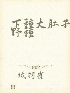 下种大肚子怀孕野种