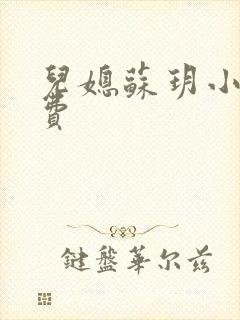 儿媳苏玥小说免费