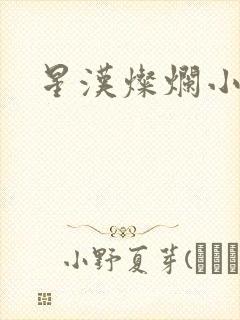 星汉灿烂小说