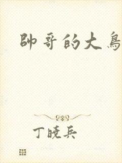 帅哥的大鸟