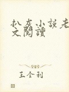 扒灰小说老马全文阅读