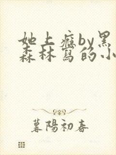 她上瘾by黑暗森林写的小说免费阅读无弹窗