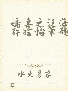 娇妻之泛海之舟许晗怡笔趣阁