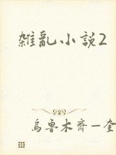 杂乱小说2