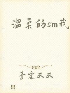 温柔的sm我