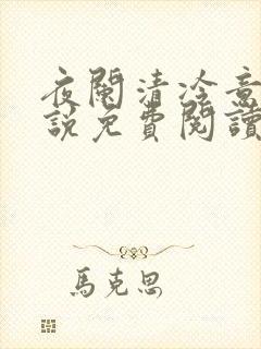 夜阑清冷意欢小说免费阅读