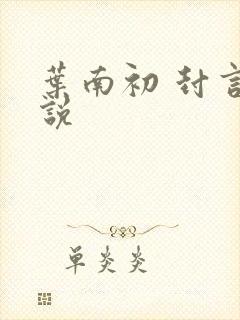 叶南初 封言小说