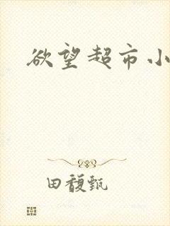 欲望超市小说