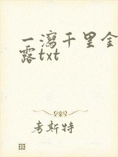 一泻千里金银花露txt