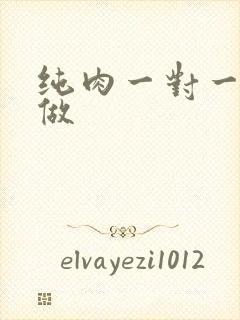 纯肉一对一到处做