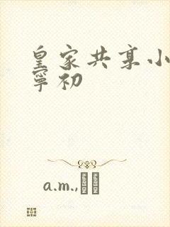 皇家共享小公主宁初