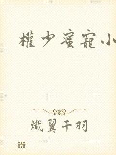 权少蜜宠小娇妻