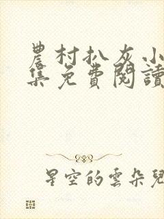 农村扒灰小说全集免费阅读