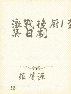 激战后厨1至5集日剧