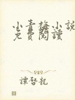 小青梅小说全文免费阅读