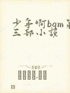 少年啊bgm第三部小说