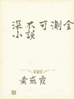 深不可测金银花小说