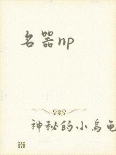名器np