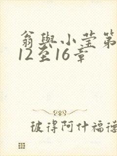 翁与小莹第十部12至16章