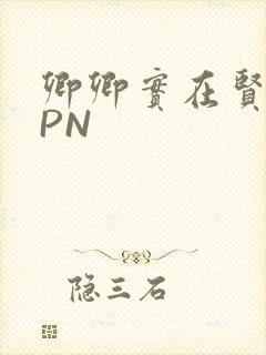 卿卿实在贤良NPN