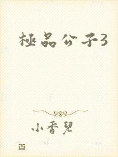 极品公子3