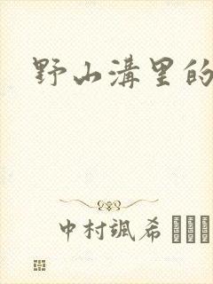 野山沟里的村庄