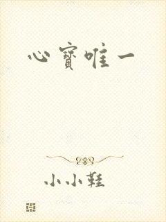 心宝唯一