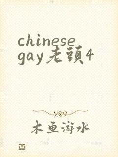 chinesegay老头4