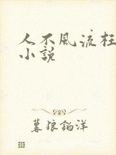 人不风流枉少年小说