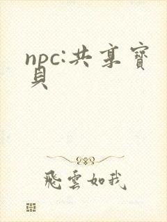 npc:共享宝贝