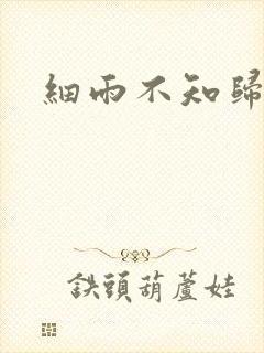 细雨不知归