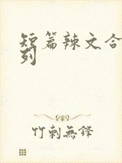 短篇辣文合集系列