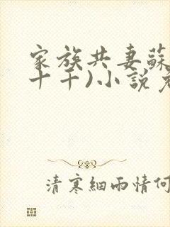 家族共妻苏苏(十千)小说免费