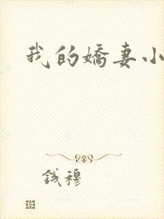 我的娇妻小说