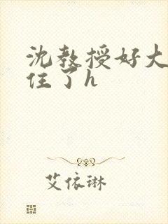 沈教授好大含不住了h