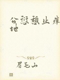 公愆憩止痒玉米地