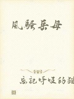 风骚岳母