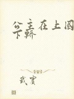 公主在上国师请下轿