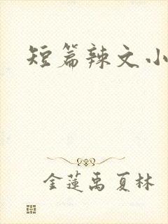 短篇辣文小说