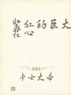 紫红的巨大顶开花心